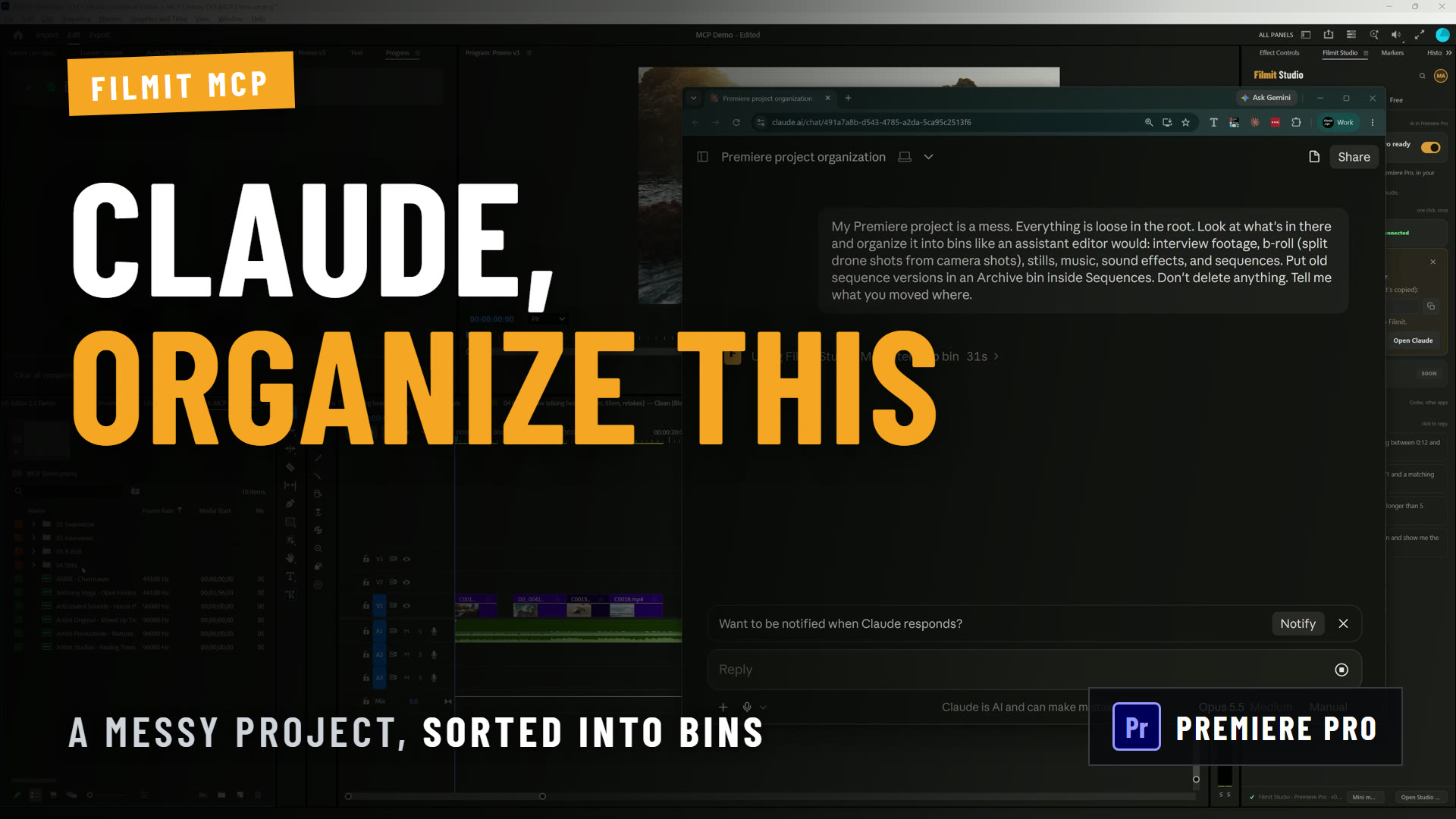 How to Organize a Premiere Pro Project (By Hand, Claude, Organizer)